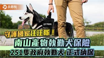 南山產物執勤犬保險當後盾　251隻政府執勤犬完成納保！