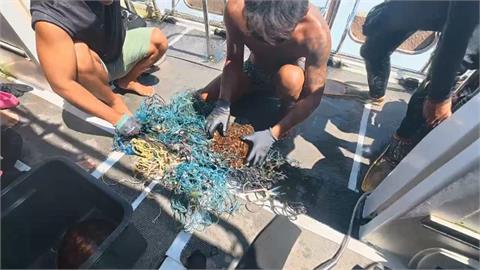 海上2隻小海龜被漁網纏繞！　澎湖浮潛業者果斷救援