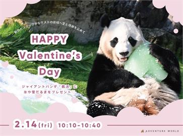 情人節傳愛！　日本和歌山動物園準備情人節大餐