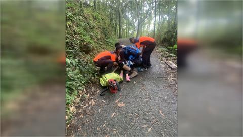 登台南最高峰「大凍山」下山意外　2女童遭枯樹砸中頭部1人腦出血