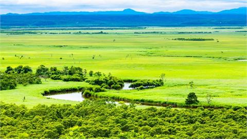 快新聞／破壞環境！北海道釧路濕原「太陽能違規施工」　日政府命限期改善
