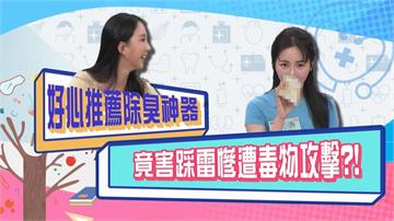 (影)／小珍奶拿茶葉包塞鞋內除臭 舒子晨聞後問：「用過了沒」？
