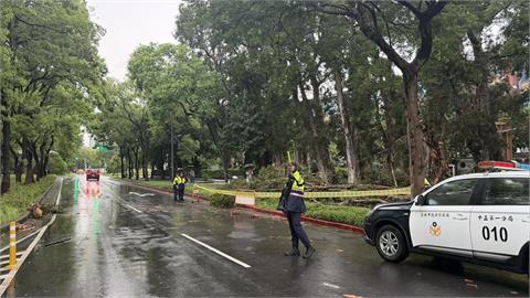 雷雨開炸！北市大樹遭雷擊險壓母子　新竹五峰路口淹成河