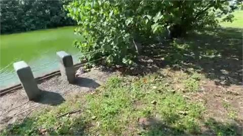 高鐵女趴男「猛傳吸吮聲」遭笑吸毒液！醫急喊「遭蛇咬別用嘴」揭真相：這樣做恐更慘