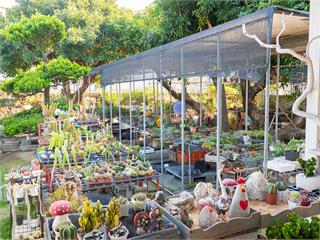 采邑綠工坊│雲林林內景點推薦！綠植庭園、DIY課程超療癒