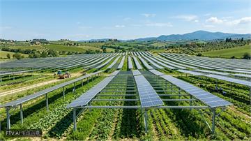 梵蒂岡擬斥資1億歐元　建農電共生綠能發電廠
