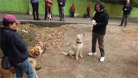 小英過年遛毛小孩！開工前爬山趣 自製點心結交狗朋友