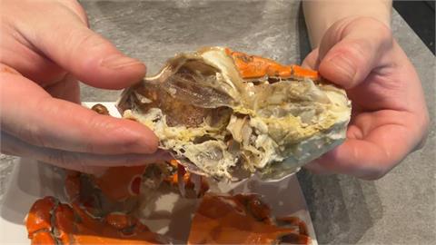 麻辣火鍋螃蟹「吃完上吐下瀉」　業者：若餐點有問題願負責