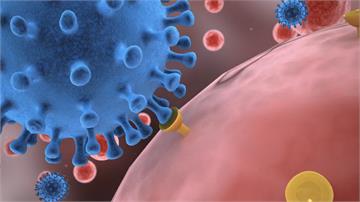 武肺病毒新發現 可在人體皮膚存活長達9小時