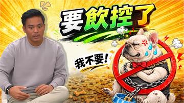 撒基努《醫學大聯盟》醫揭熟齡犬「食慾不振」隱疾：胰臟、甲狀腺小心！