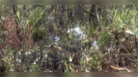 快新聞/南投兄弟採收檳榔駕車返家 疑為閃樹枝翻落邊坡「弟不幸身亡」