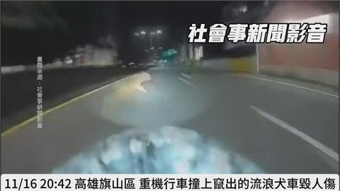 綠鬣蜥出沒鬧區！逛大街曬日光浴　市民驚「侏儸紀公園？」