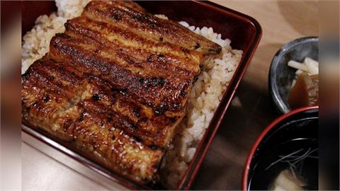 鰻魚列「瀕危物種」歐盟提案管制下週表決　日鰻魚價恐漲