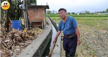 公糧染毒1／來不及阻止交公糧！　竹市汞米濃度爆量恐成營養午餐毒害下一代