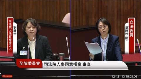 翁曉玲稱中國人非外國人　學者：修憲對岸沒同意她怎當不分區