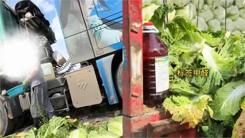 中國近日爆出「甲醛白菜」食安問題，引發台灣民眾擔憂是否有違規產品以「洗產地」輸入台灣。（圖／翻攝自Ｘ ＠whyyoutouzhele）