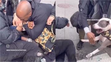 紐約驚魂！比特犬狠咬童大腿　飼主裝死快閃