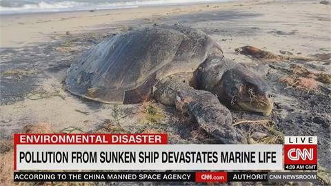 生態浩劫! 6月斯里蘭卡沈船 塑膠顆粒化學物質外洩