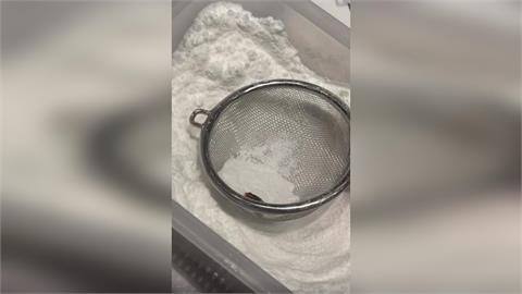 快新聞／噁！日系泡芙連鎖店驚爆食安危機！網拍到「這生物」卡糖粉盒