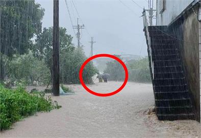 金山暴雨噩耗...瓜農夫婦「吃飯返家」遭沖走雙亡　女兒67字心碎發聲