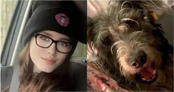 19歲嫩妹遭養7年獵犬活活咬死　父因1狀況竟被逮捕