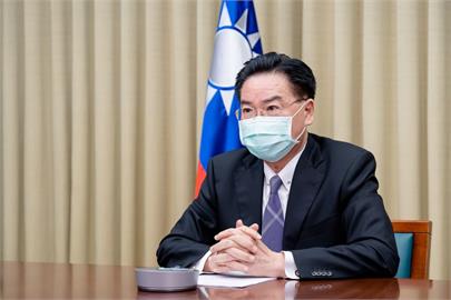 吳釗燮接受奧媒專訪　盼奧國政府支持台灣參與國際組織