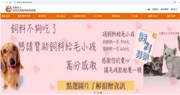 危機再起1／流浪動物救援協會欠薪PO催繳單　理事長哭窮：幫幫毛孩