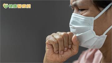 流感疫情未升溫！疾管署：民眾防疫意識佳　估春節前後達高峰