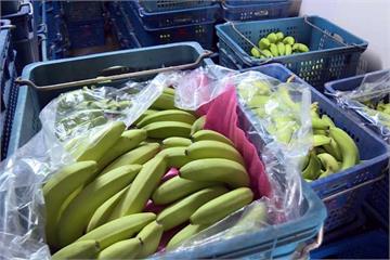 「搶攻杜拜有錢人 」台灣香蕉賣到中東去 