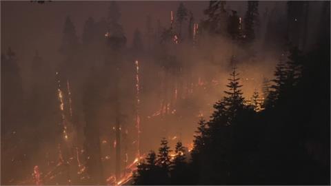 野火侵襲！卡爾多野火燒毀逾776平方公里　加州.內華達州宣布進入緊急狀態