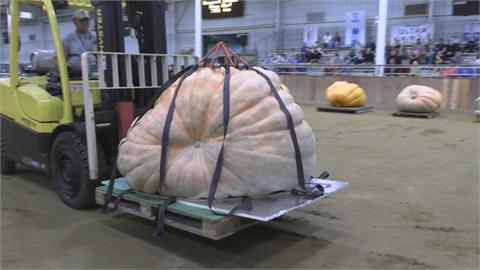 美國最猛南瓜王「1000kg↑」巨無霸嚇傻全場！震撼畫面曝光