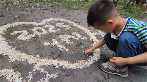 雲林古坑「下四月雪」　民眾把握好天氣賞花