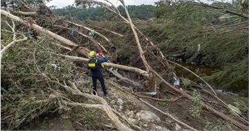德州暴雨釀山洪！女子夏令營遭洪水淹沒　至少78死、41人失蹤