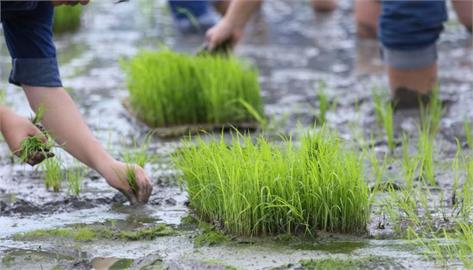 節氣巧遇媽祖生！命理師：掌握穀雨節氣能量　讓貴人財氣靠過來