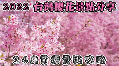 全台賞櫻景點攻略！滿山粉嫩繽紛盛開　1到4月都能徜徉在櫻花海