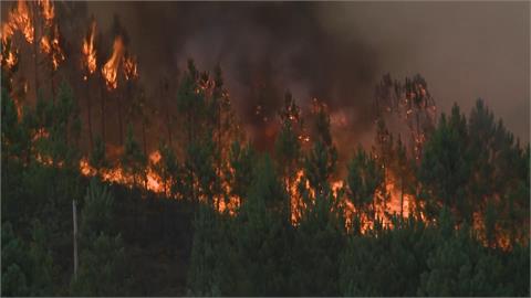 西班牙野火延燒兩星期　約13個台北市面積被燒毀