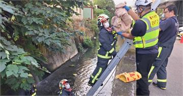 台中嬰屍案25歲菲籍生母落網 不排除解剖釐清嬰兒「生前或死後」落水