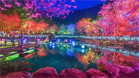 全台兩大「櫻花祭」強強聯手！「九族文化村Ｘ阿里山森林遊樂區」雙重享受