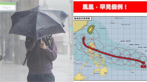 鳳凰颱風太反常成「11月罕見個案」!專家放路徑預測圖嘆:難分析