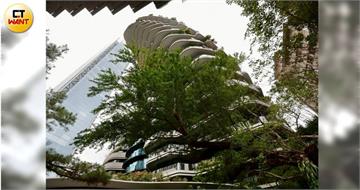 豪宅買氣慘1／「哥吉拉」甦醒半價搶市咬冠軍　億元豪宅交易卻大減4成