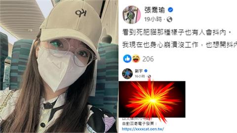 小草護理師嗆「X肥貓」喊身心崩潰！四叉貓「42字」反擊網酸：找館長！