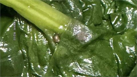 鼎泰豐高雄店外帶菠菜　竟有蝸牛泥土痕跡