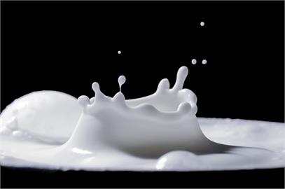 植物奶是奶嗎？營養師曝「5種奶」成分　網驚：原來不一樣！