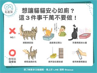 【居家毛學問】想讓貓咪安心如廁？這三件事千萬不要做！