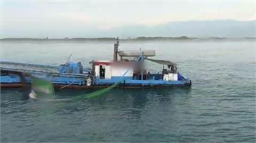 宜蘭近岸違法捕撈魩仔魚 2漁船被逮
