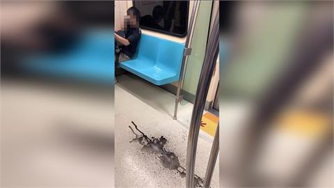 快新聞／北捷淡水信義線車廂竟「天降墨汁」　北捷公司回應了