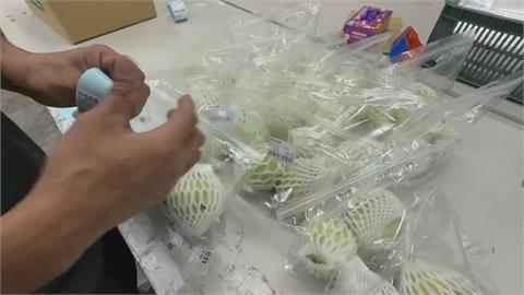 「芭樂太好吃」爆紅！　屏東青農楊忠憲現身回應