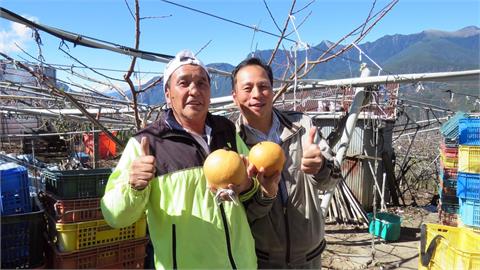 梨山唯一牙醫師將退休　和平區代表：波波醫生可成為選項