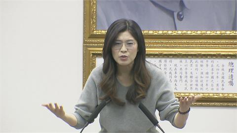 快新聞／鄭麗文稱「中國是親人」　吳靜怡反嗆：先把黨徽十二星芒改五星