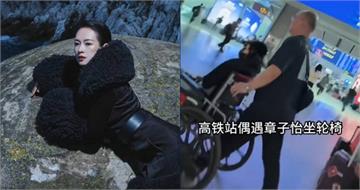 章子怡頒獎典禮摔倒！坐輪椅搭高鐵　經紀人回應：已去看醫生